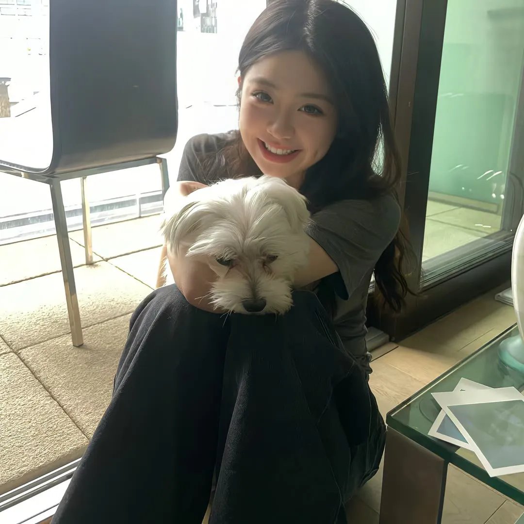 八月桂花香
