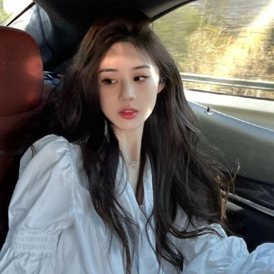 红色翅膀:火烈鸟故事