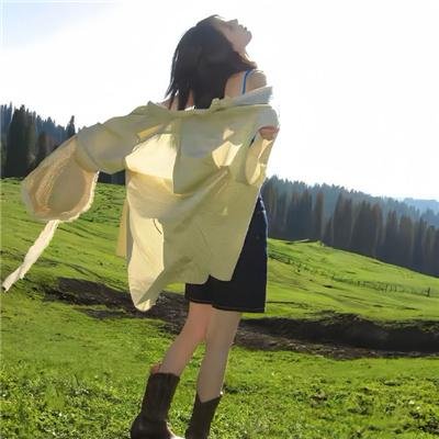 双面骗子虚假警察第一季